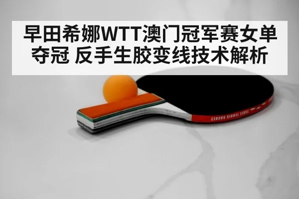 table tennis rubber close-up